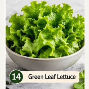 14-green-leaf-lettuce